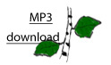 MP3 320kbit